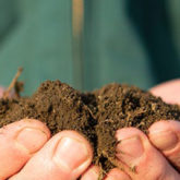 organic-soil